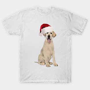 Funny Labrador In Santa Hat T-Shirt